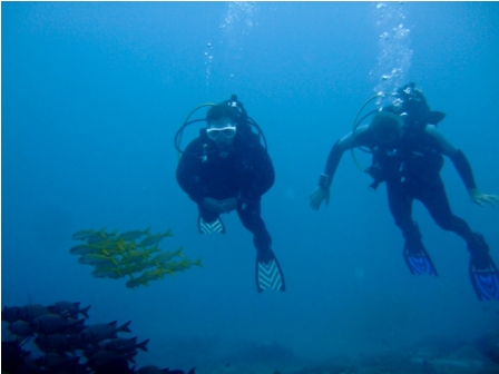 Master Divers Ponta Dive Trip